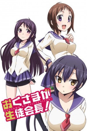 Okusama ga Seitokaichou! 2nd Season