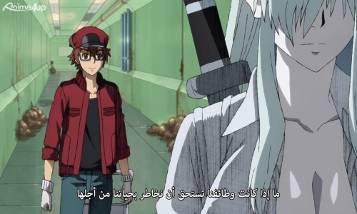 Assistir Hataraku Saibou Black Episodio 3 Online